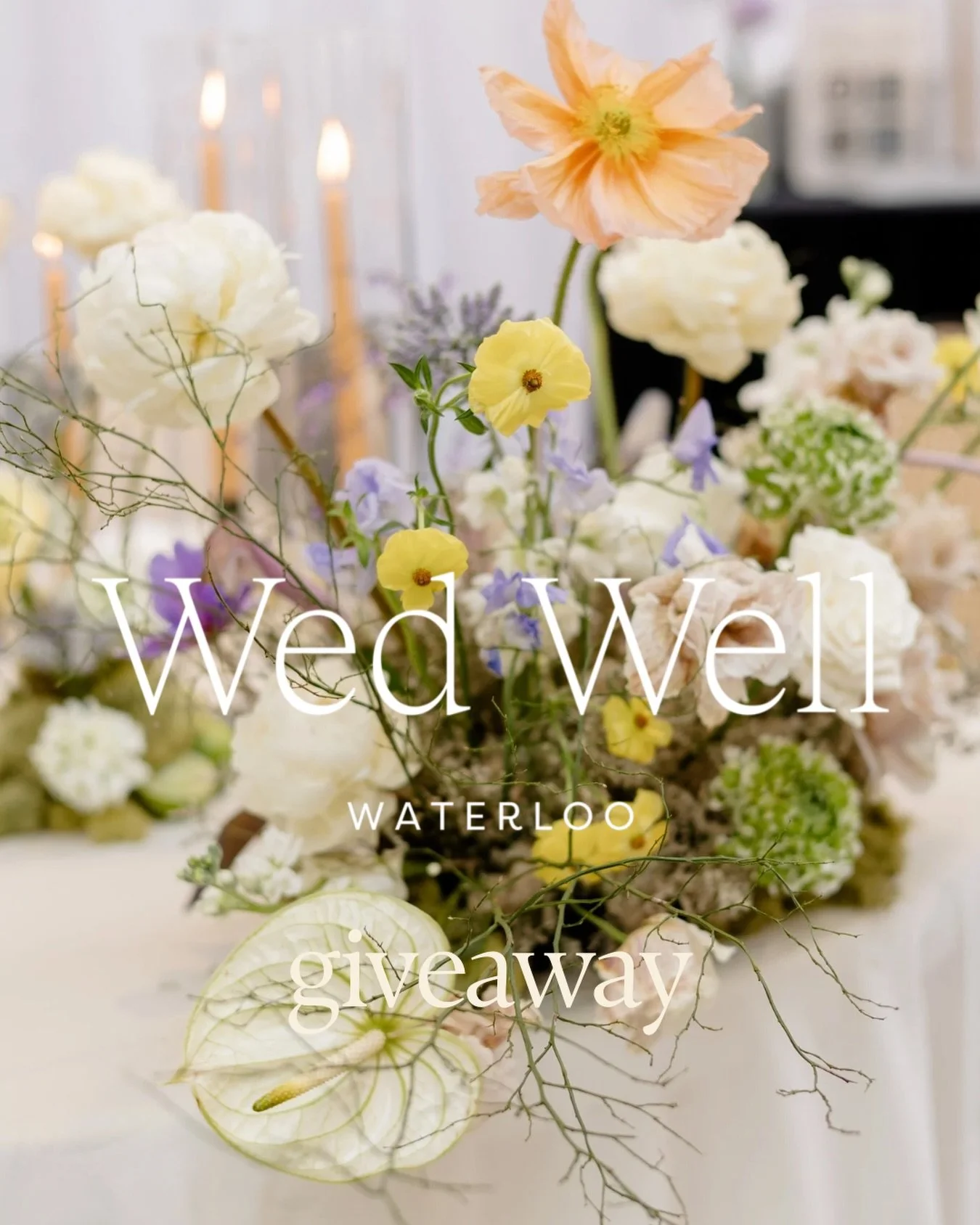 GIVEAWAY TIME ‼️

Two lucky winners will receive 2 tickets to the Wed Well show on March 1st @langdonhall and if you want that to be you,  here&rsquo;s what you need to do:

1. follow @wildvogel_floralworks and show this post some ❤️(bonus entry for 