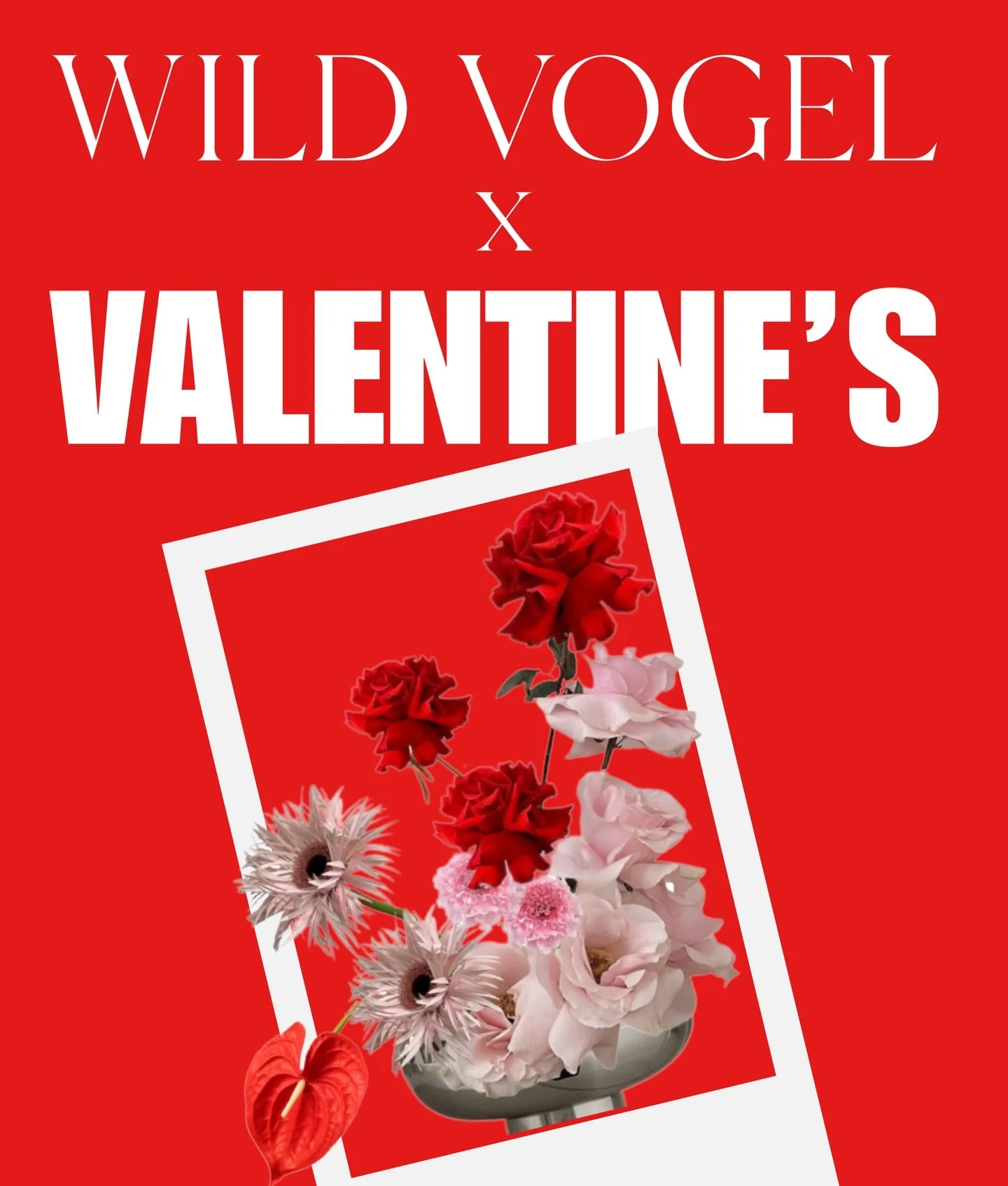 Valentine&rsquo;s Day Pre-orders are live ❤️

Love makes the world softer, so here&rsquo;s a little of it, wrapped up and ready for you.
From my hands to yours, on the sweetest day of the year.

One lush, full-bloom arrangement. 
Juicy. Romantic. And