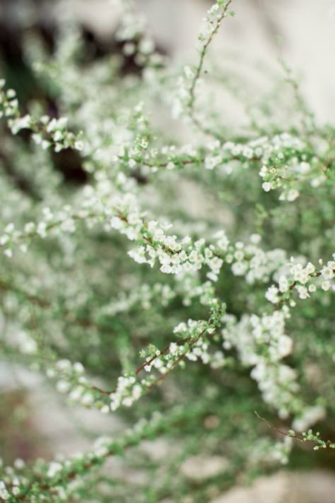bc1a89fd3f4e503550c0d99553db37de.jpg
