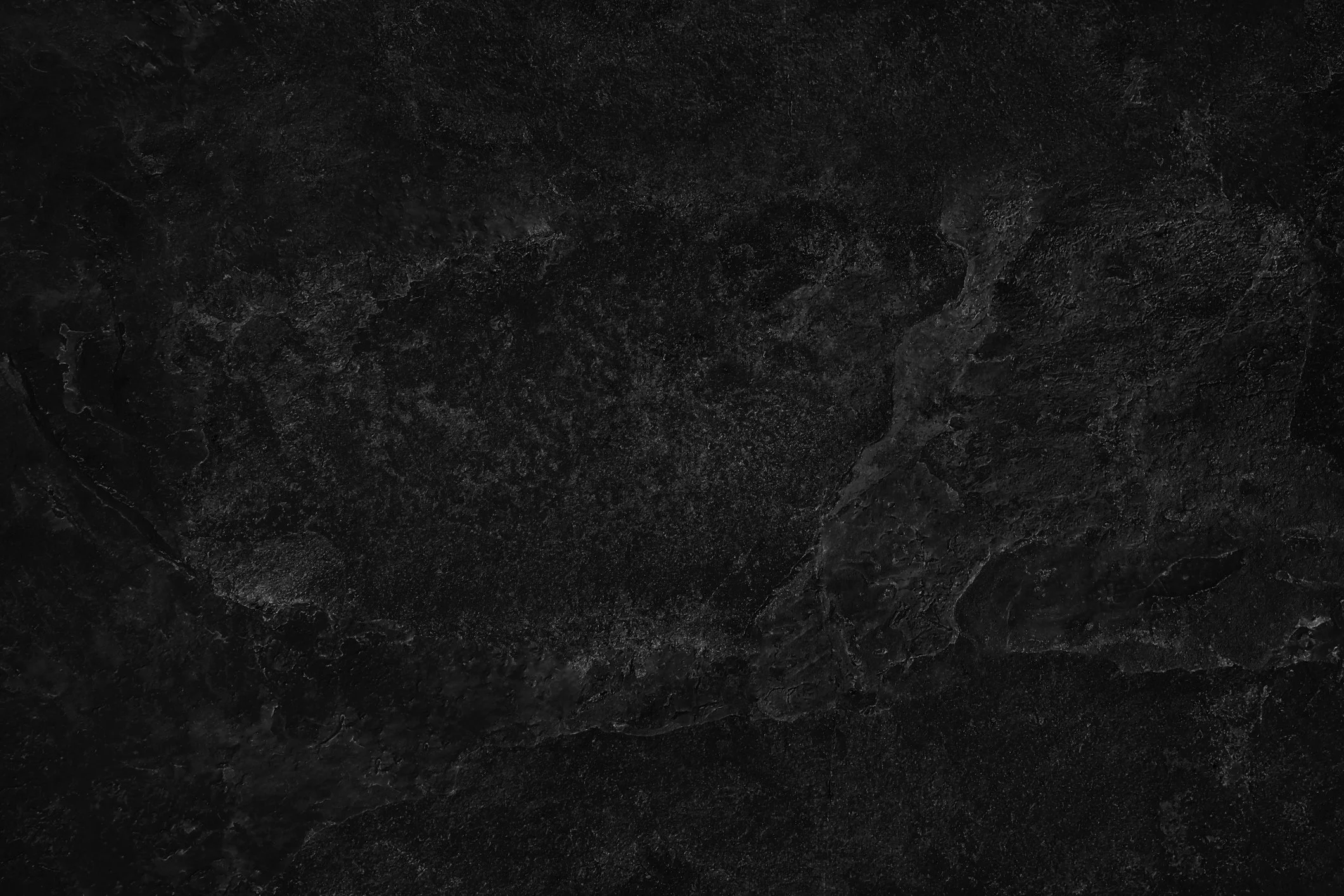 Florist in Kitchener Waterloo — wild vogel