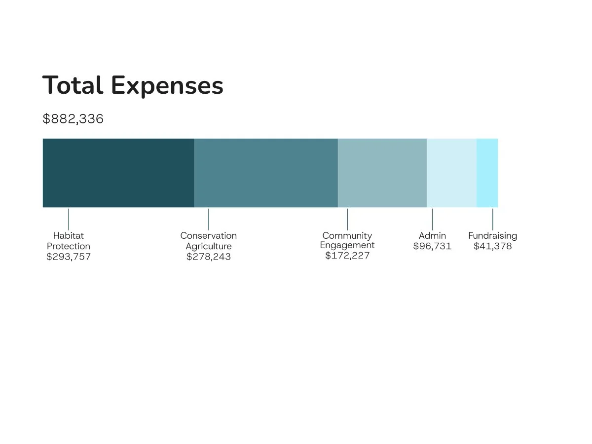 Total Expenses.jpg