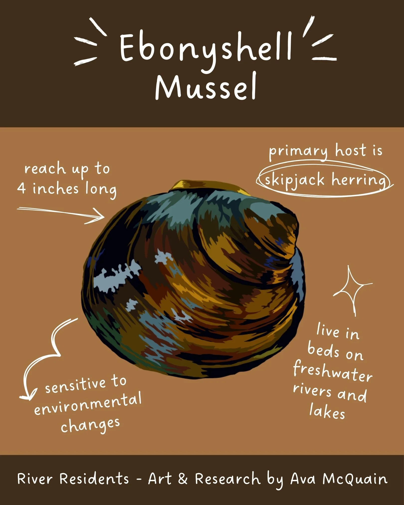 Musselshell Discovery In Java Making Waves through Community-Based Work-Study — Clean River Partners