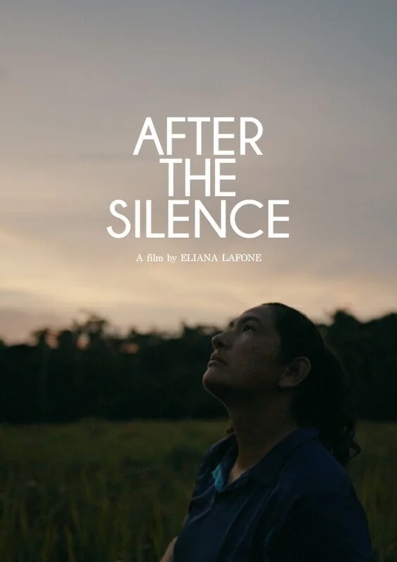 After the Silence - Film Cover (1).jpg