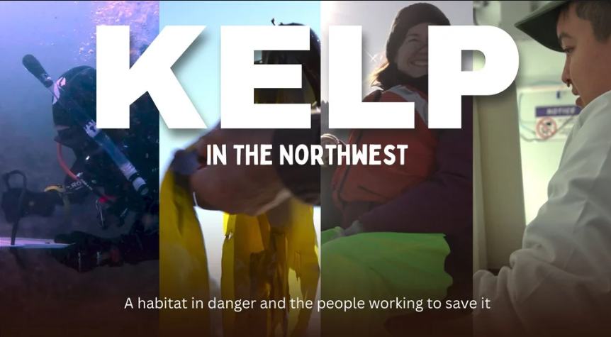 Kelp in the Northwest film cover.png