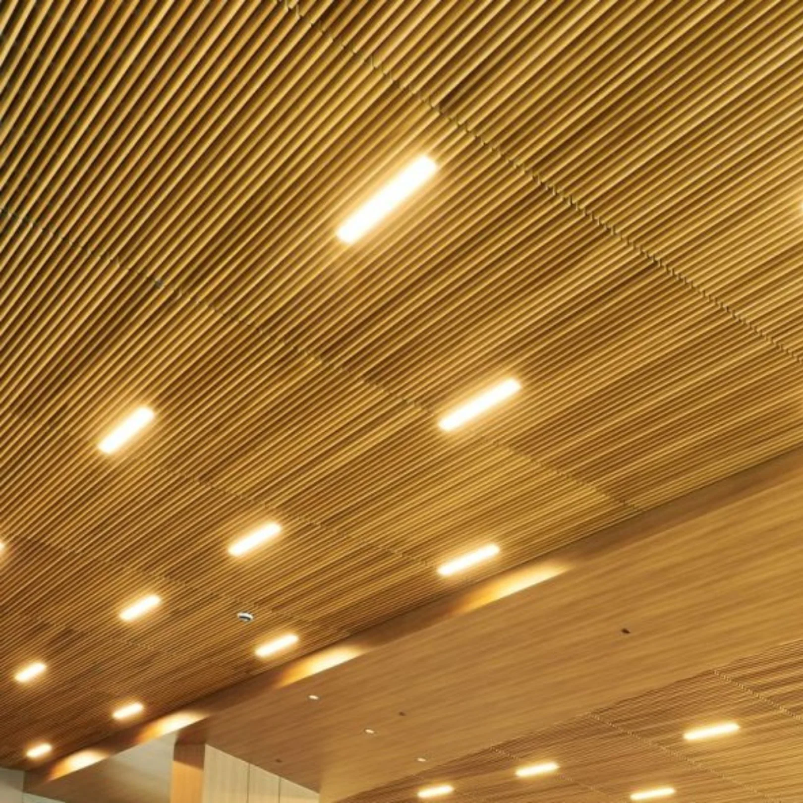 QUEERY Meetup: Land Walk and Archive Tour