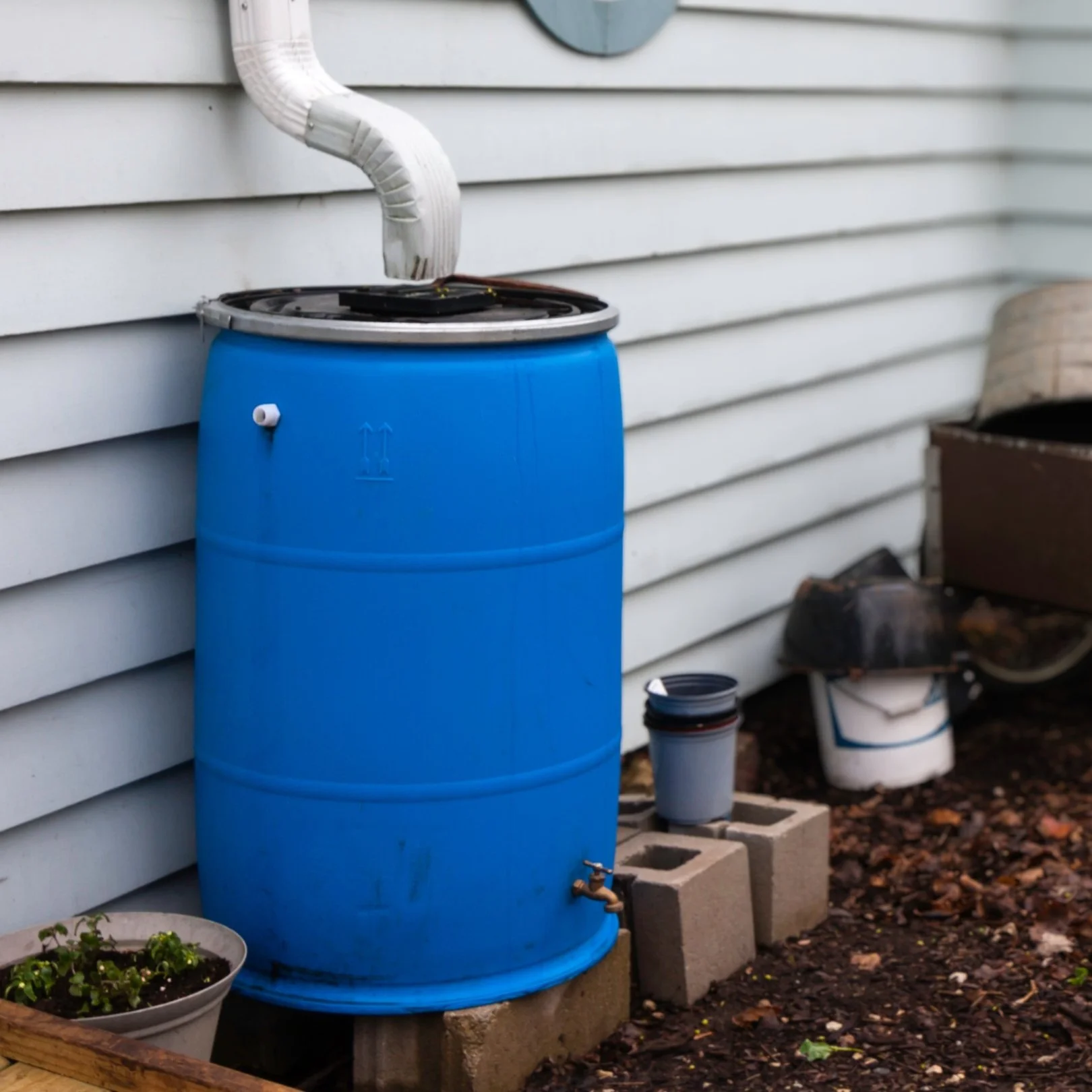 Rain Barrel Workshop