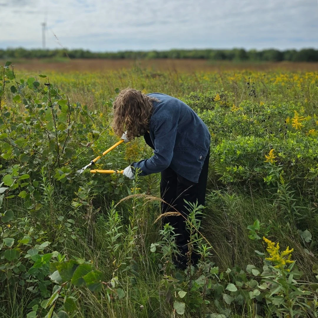 Volunteer at St. Olaf Natural Lands