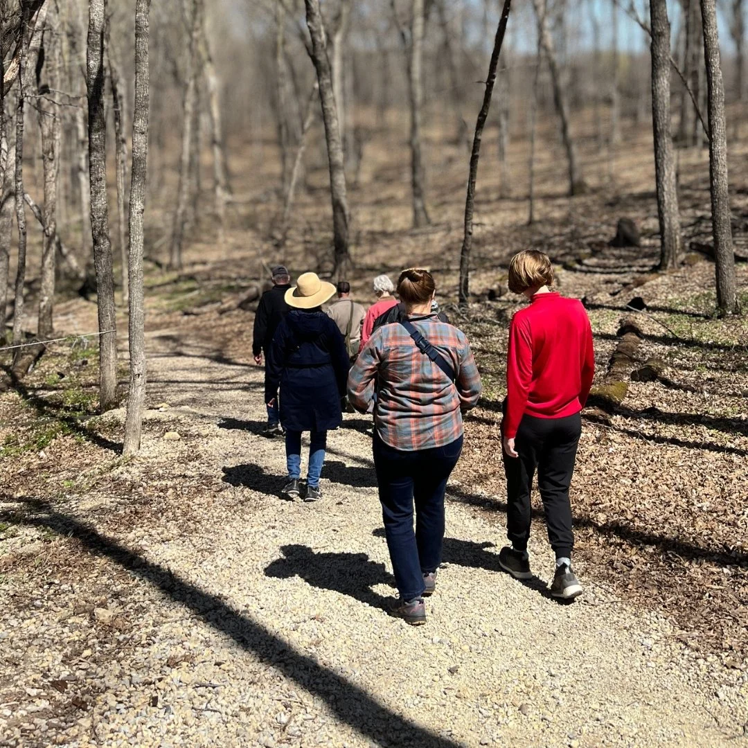 Dwarf Trout Lily Hike
