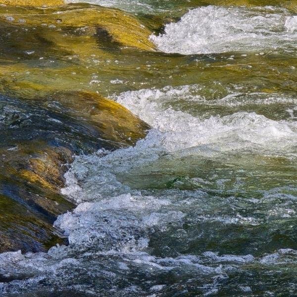 Cannon River Fish Passage Public Information Meeting