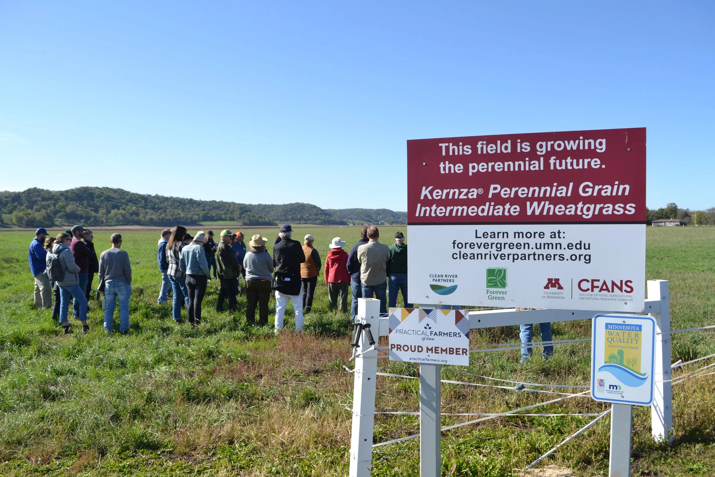 Kernza Story - WBA Field Day 3.jpg
