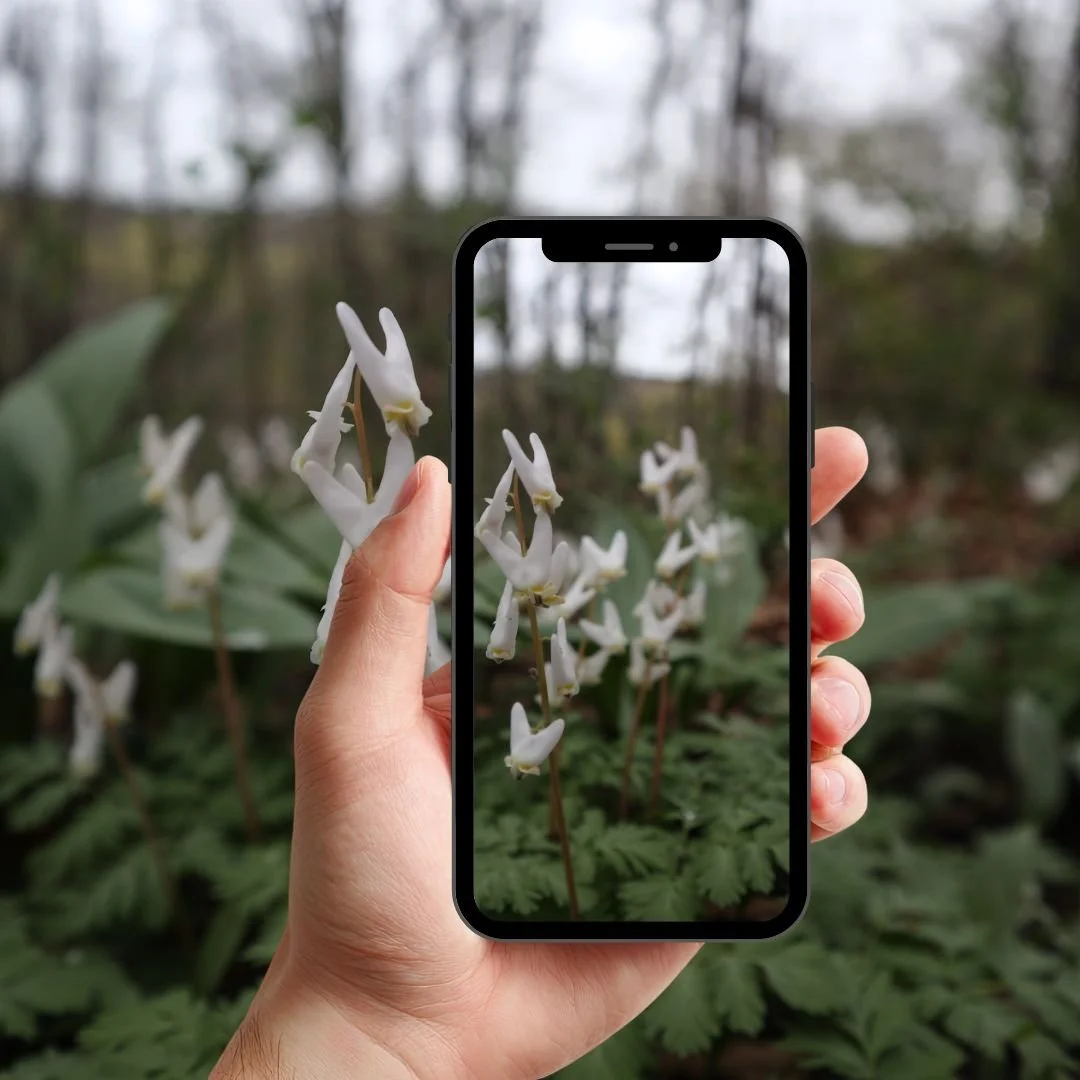 iNaturalist &amp; Community Science