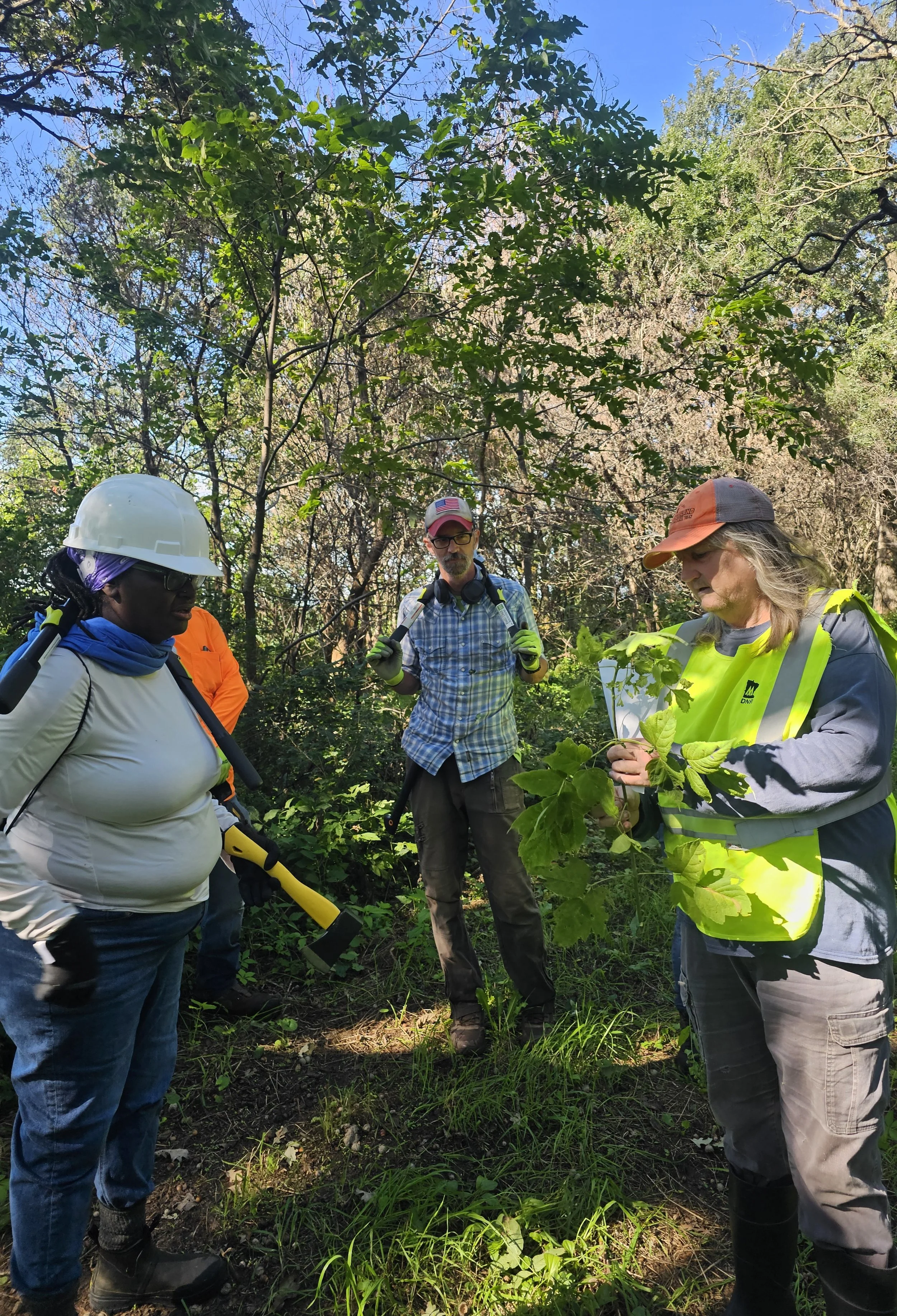 Volunteer Day at Engeseth Rinde 3.jpg