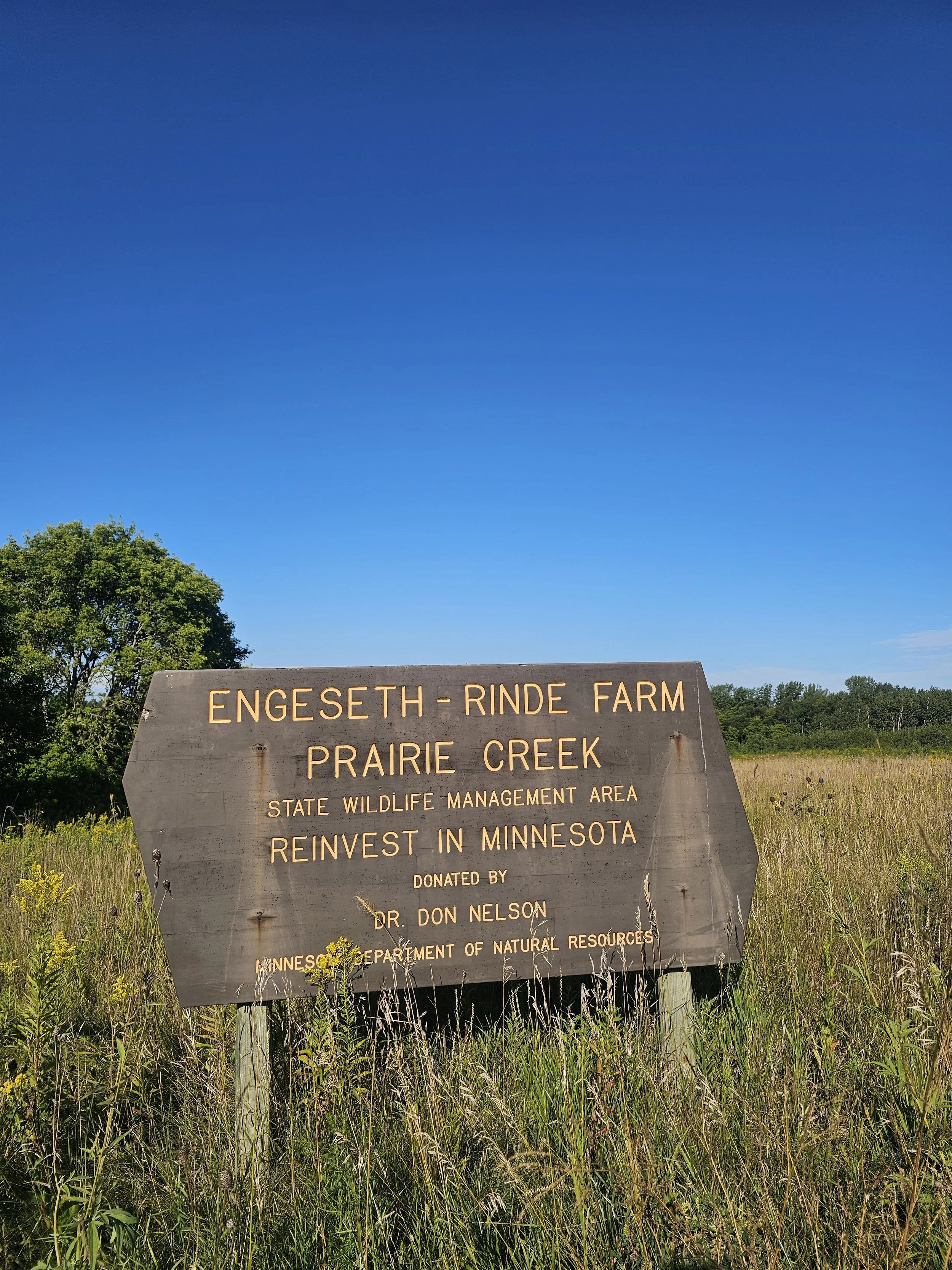 Volunteer Day at Engeseth Rinde 6.jpg