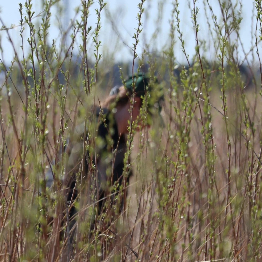 QUEERY Meetup: Prairie Ecology &amp; Stewardship