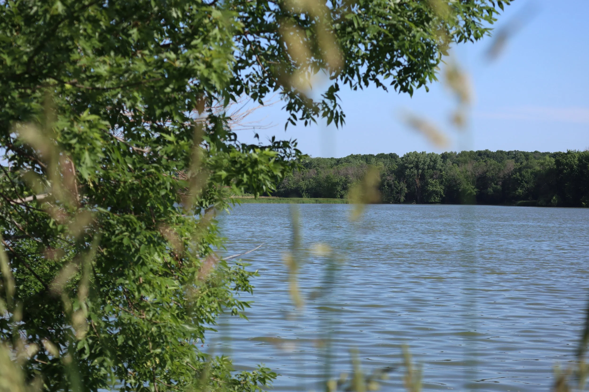Circle Lake WMA + Addition 26.JPG