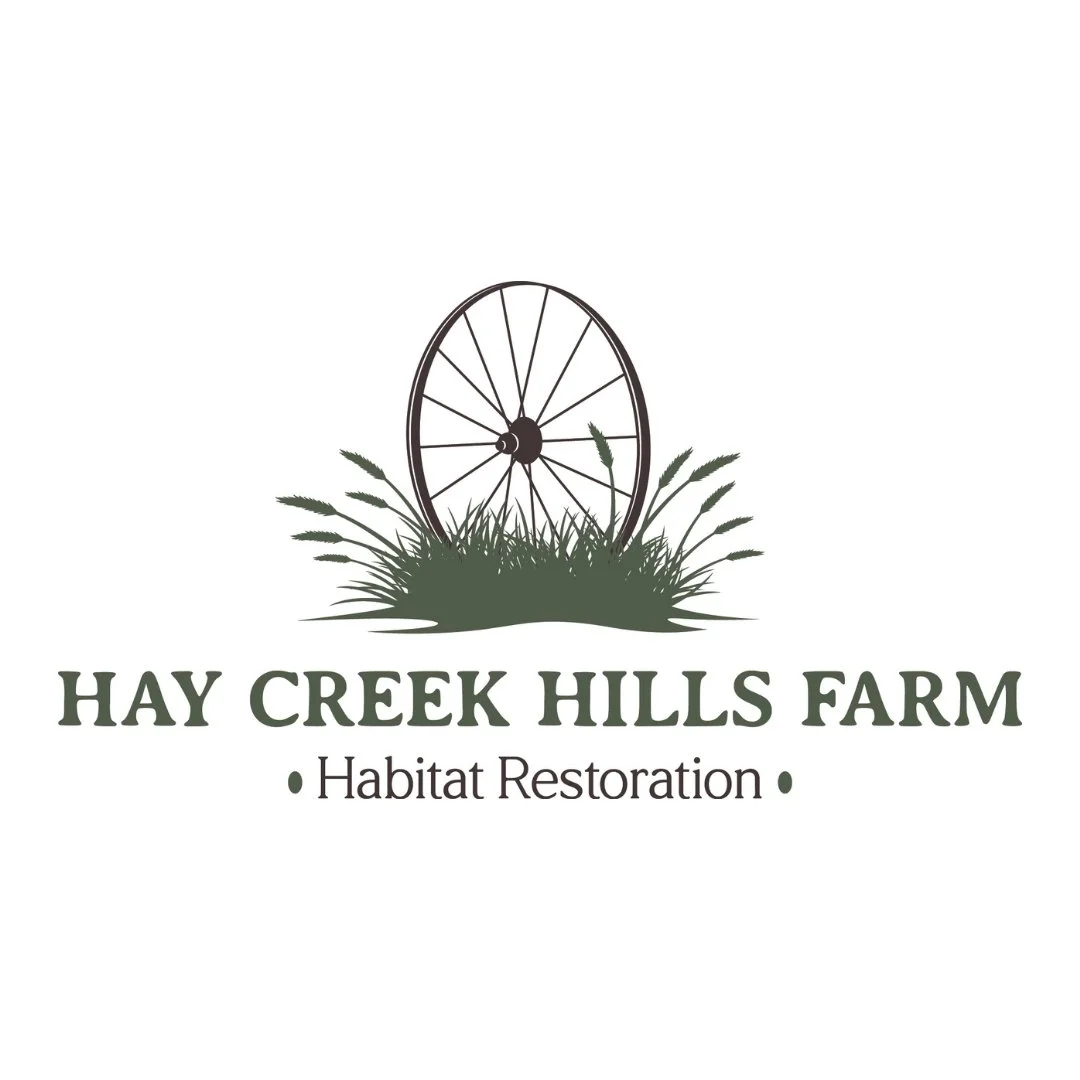Hay Creek Hills Farm logo.jpg