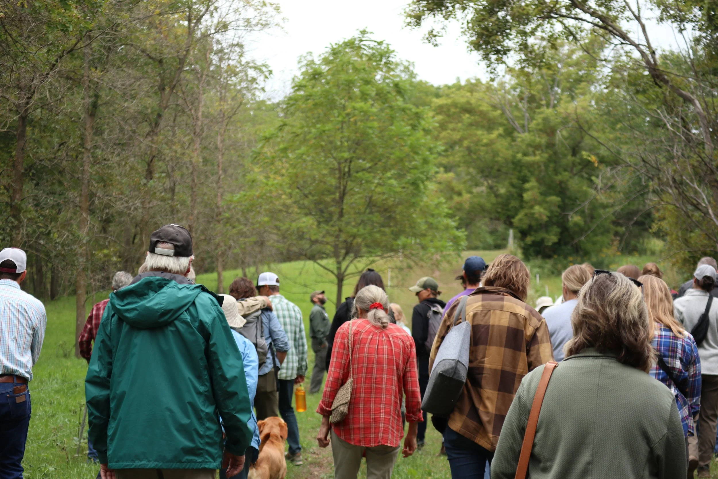A group of people walk away from the camera, toward lush, green scenery.