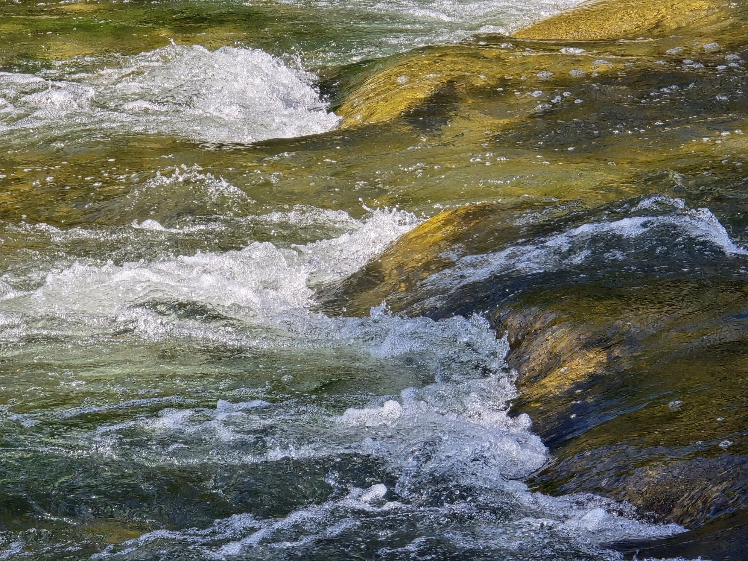 Reconnecting a River: Opening the Way for Fish and Wildlife