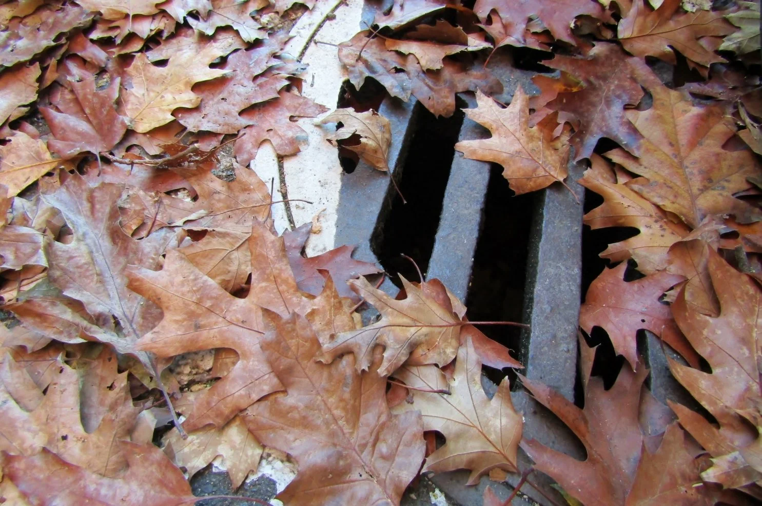 To Leave or Not to Leave