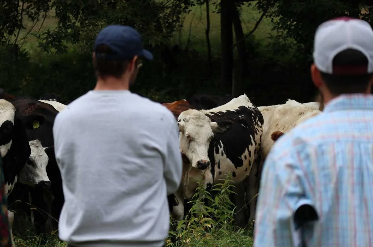 New Project Spotlight: Planting Our Future