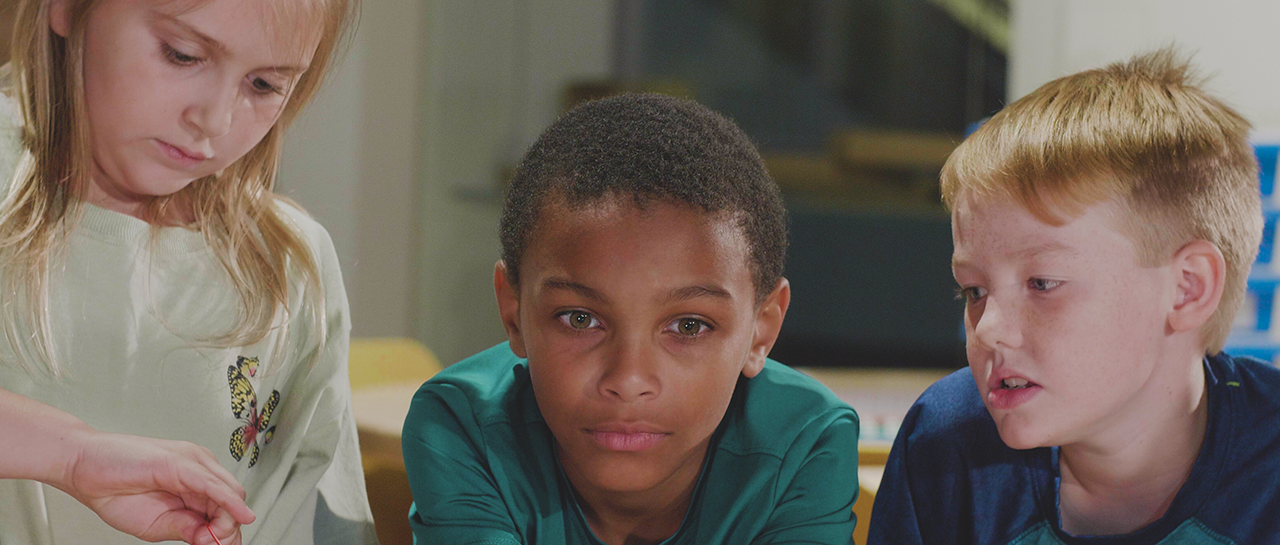 Final Draft with changes 10 06 2021.mov_snapshot_01.12.361 copy.png