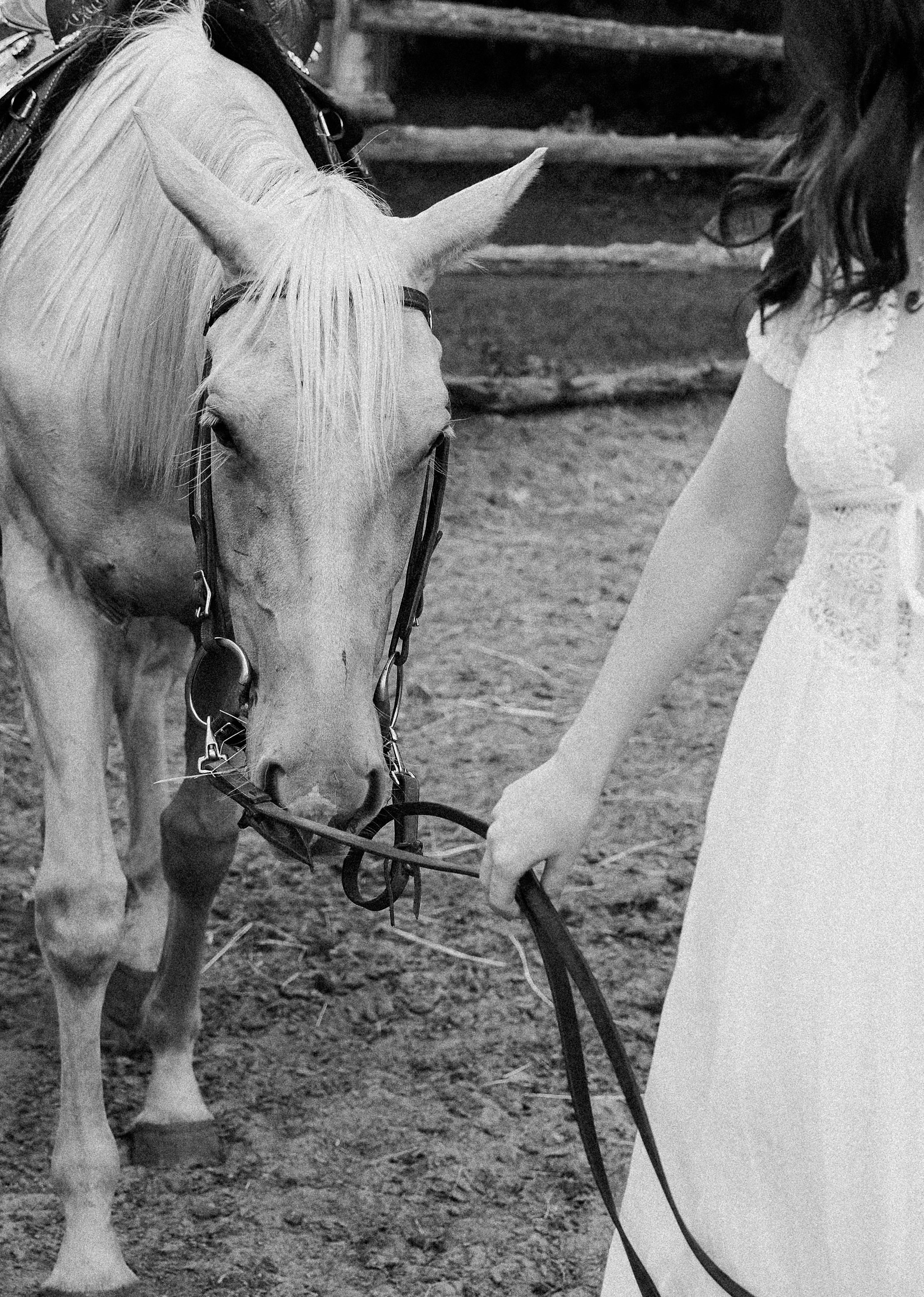 Madison & Justin-103.jpeg