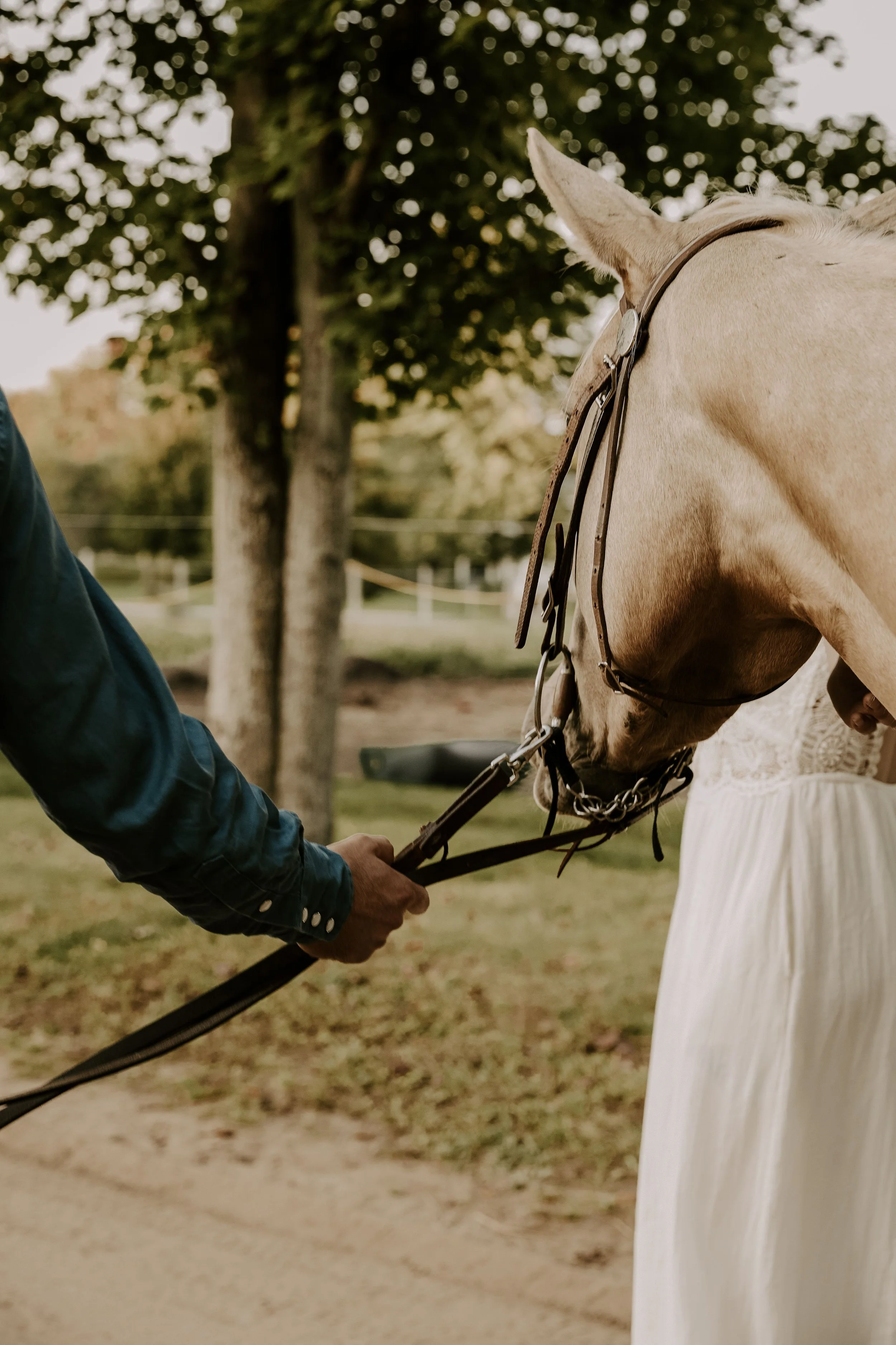 Madison & Justin-188.jpeg