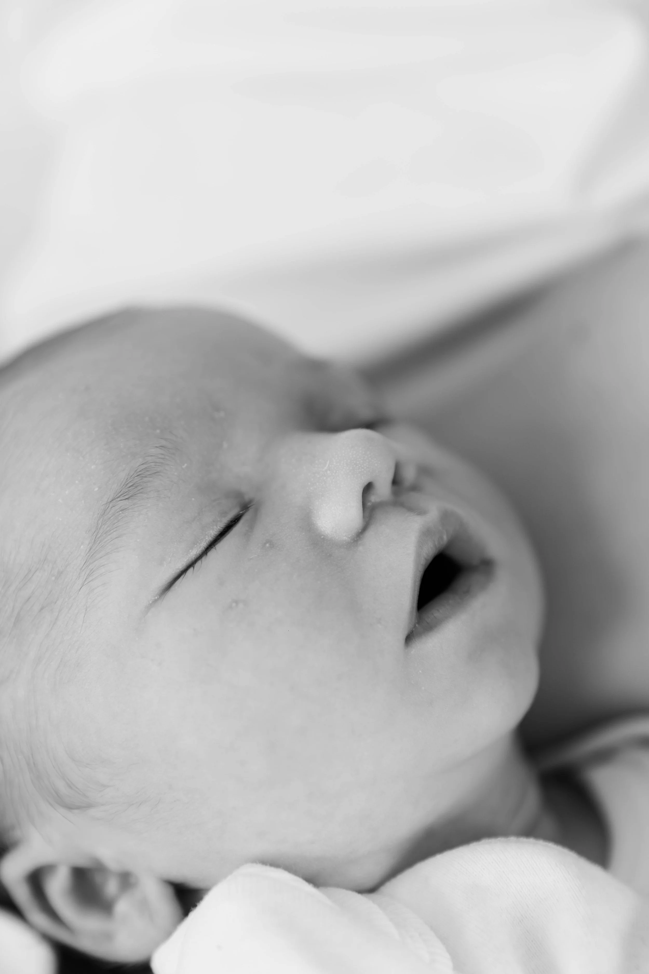 The VIssers Newborn Shoot-40.jpeg