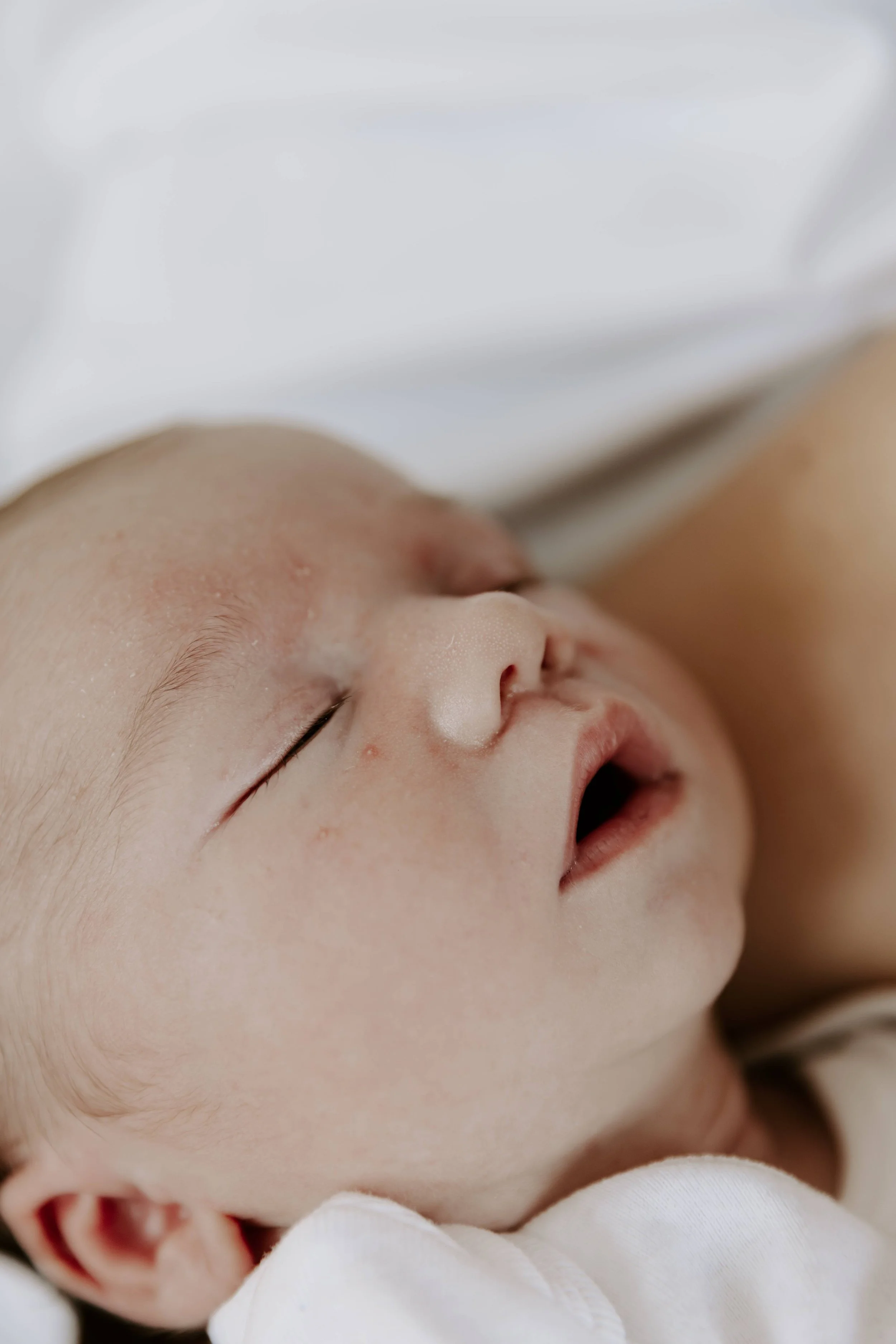 The VIssers Newborn Shoot-41.jpeg