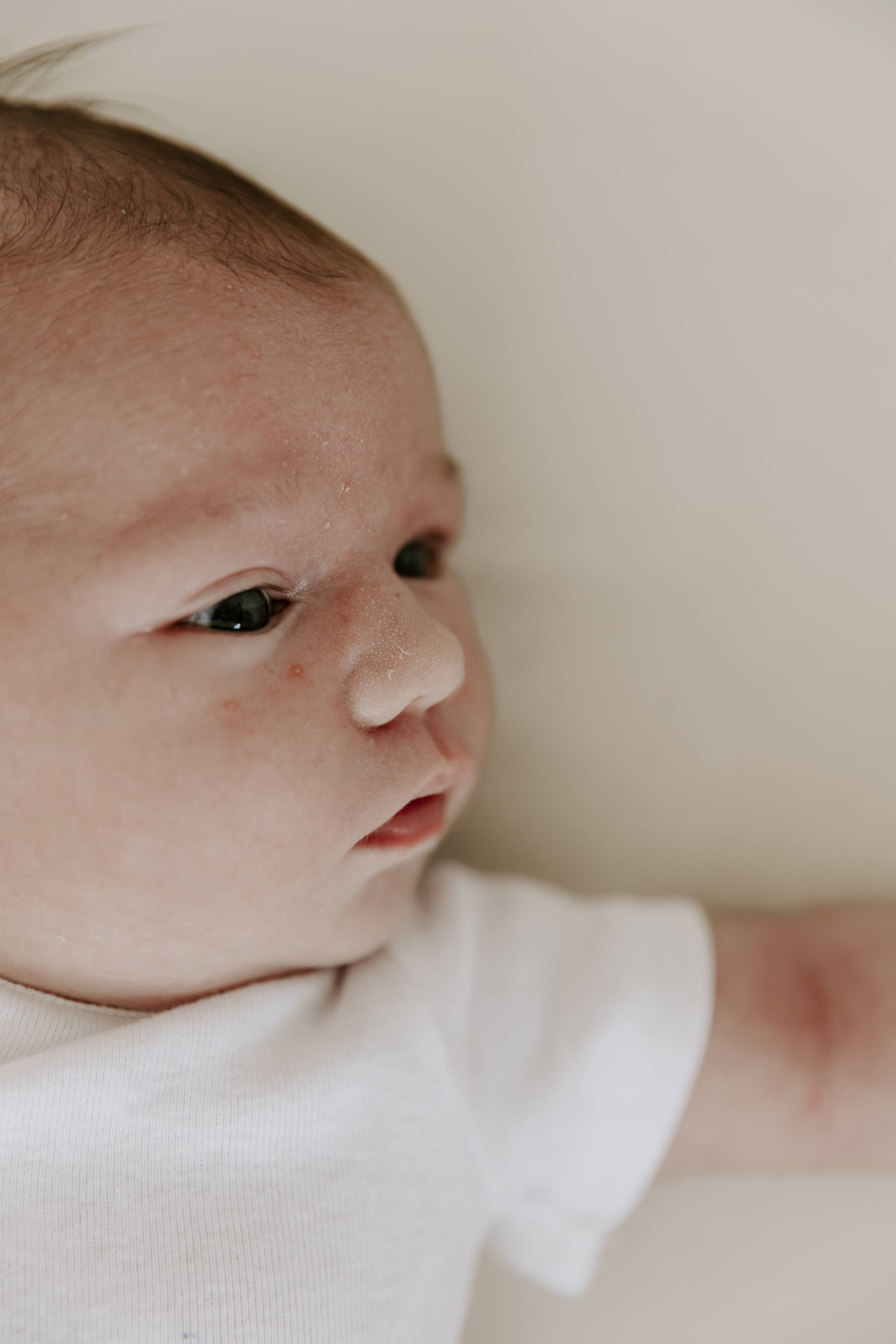 The VIssers Newborn Shoot-112.jpeg