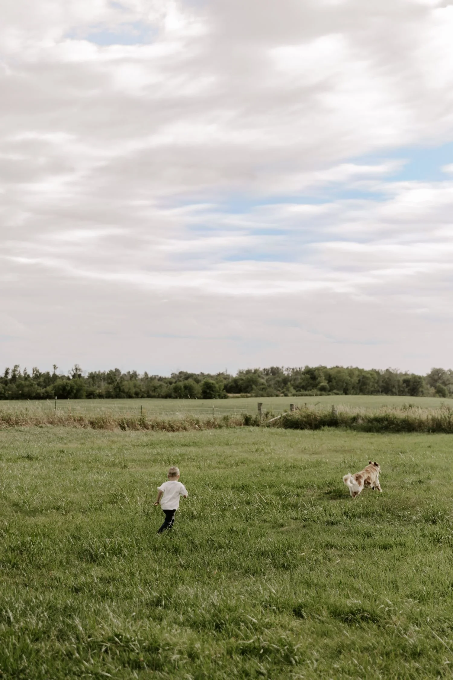 A young child with short hair wearing a white shirt running across a green field with a dog nearby. In the background are trees and a cloudy sky. For a family photography package in Brockville Ontario.