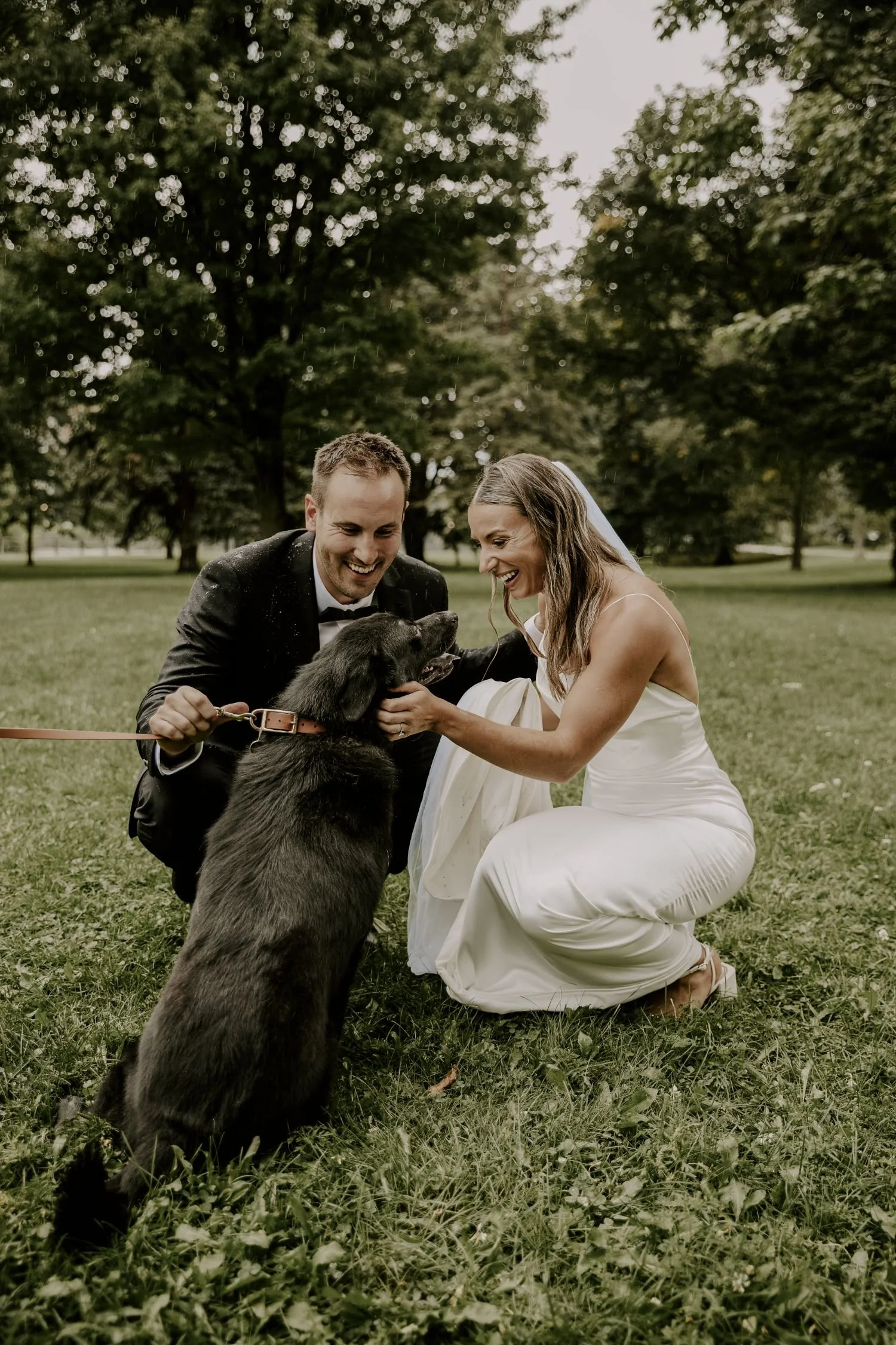 A bride and groom in wedding attire kneel on the grass and pet a large black dog during an outdoor wedding in a park with trees in the background for their wedding photography session in Ontario.