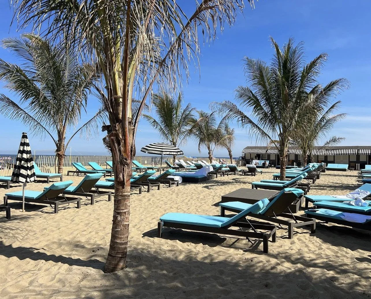 Beach Club — Avenue