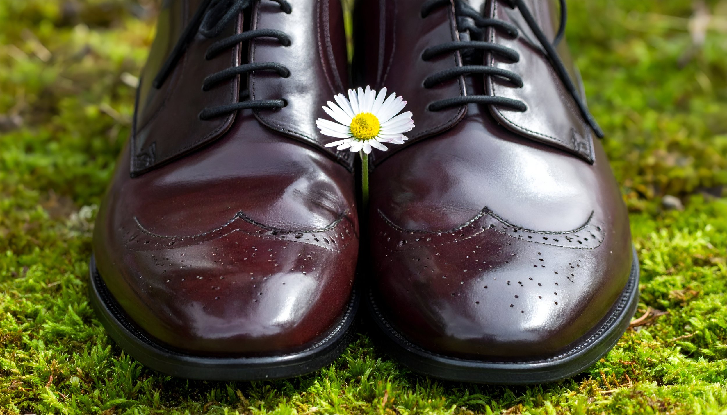 Spring Shoe Cleaning & Restoration: Bring Your Leather Back to Life