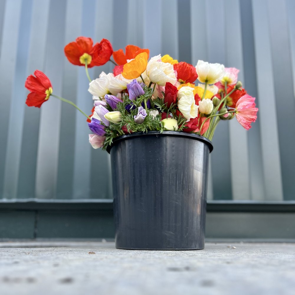 assortedflowers-bucket.jpg
