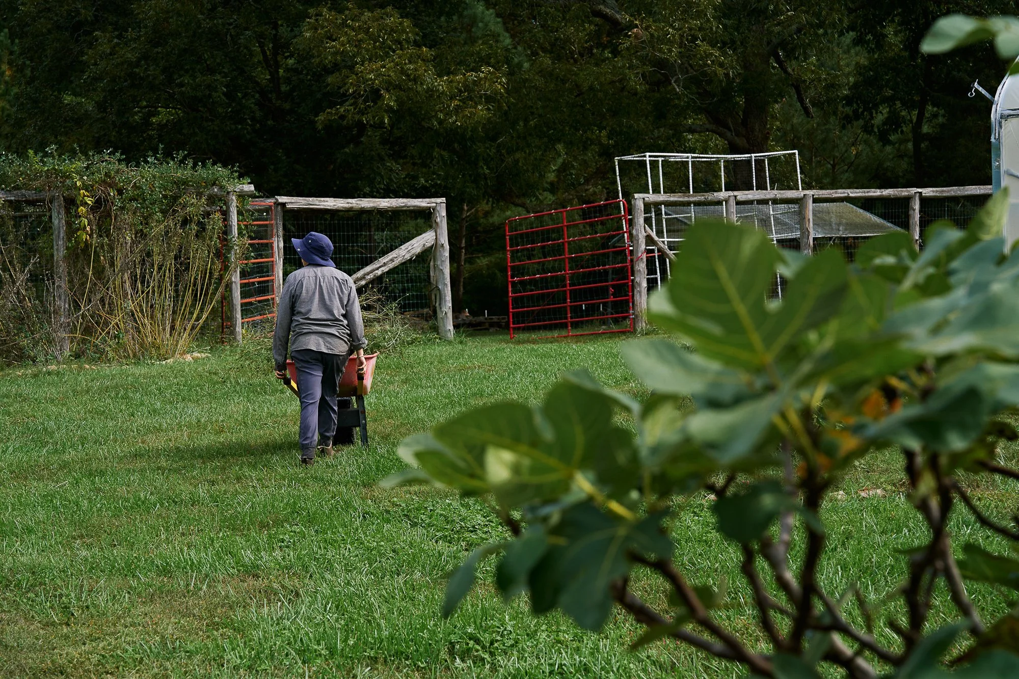 Volunteer Shift: On the Farm 