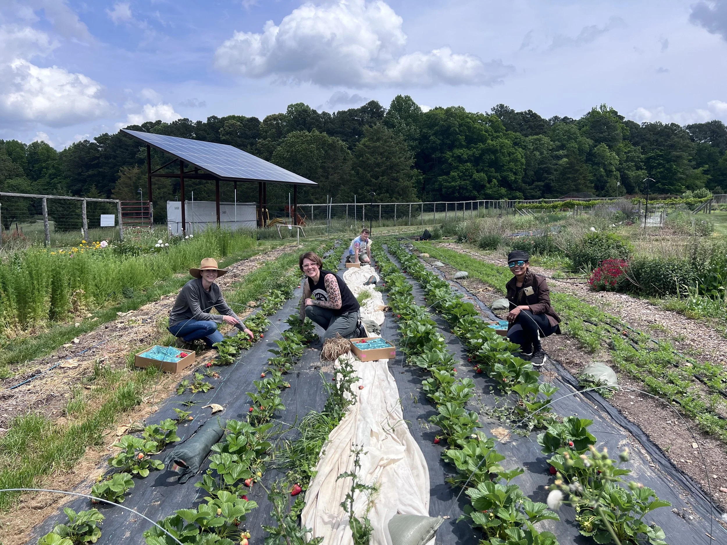 Make Your Plan: Hunger Action Month 
