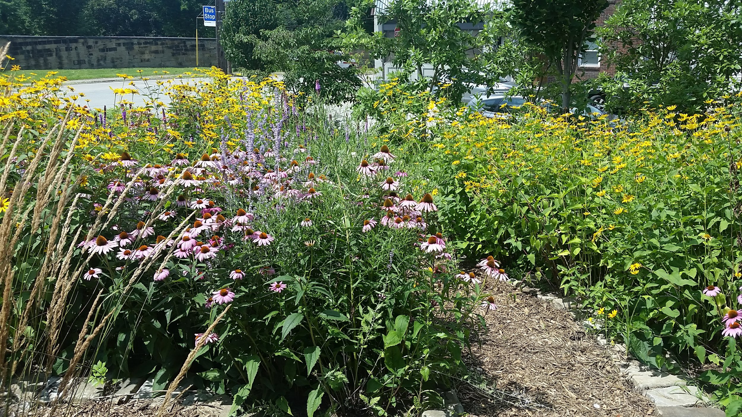 20170718_123903.jpg