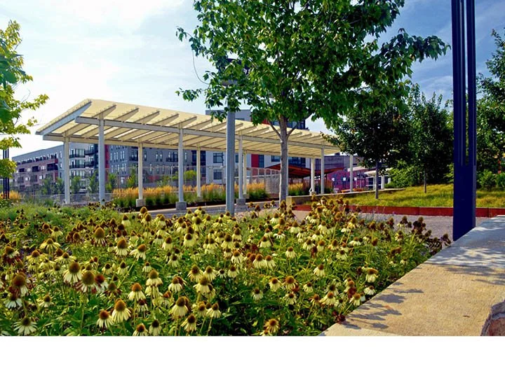 ELTC_New_Web_23.jpg