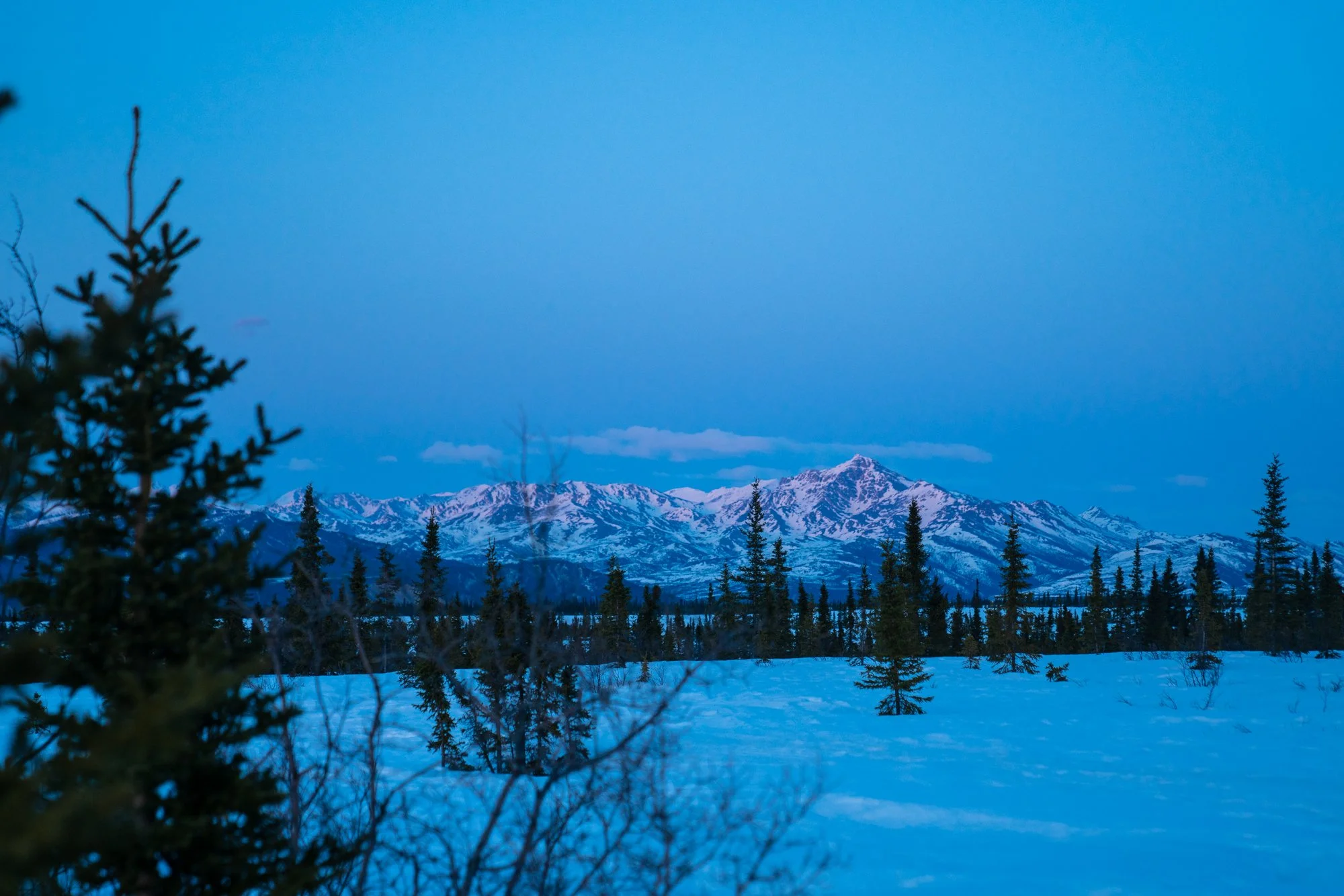 Why Winter Weddings in Colorado Are Truly Magical
