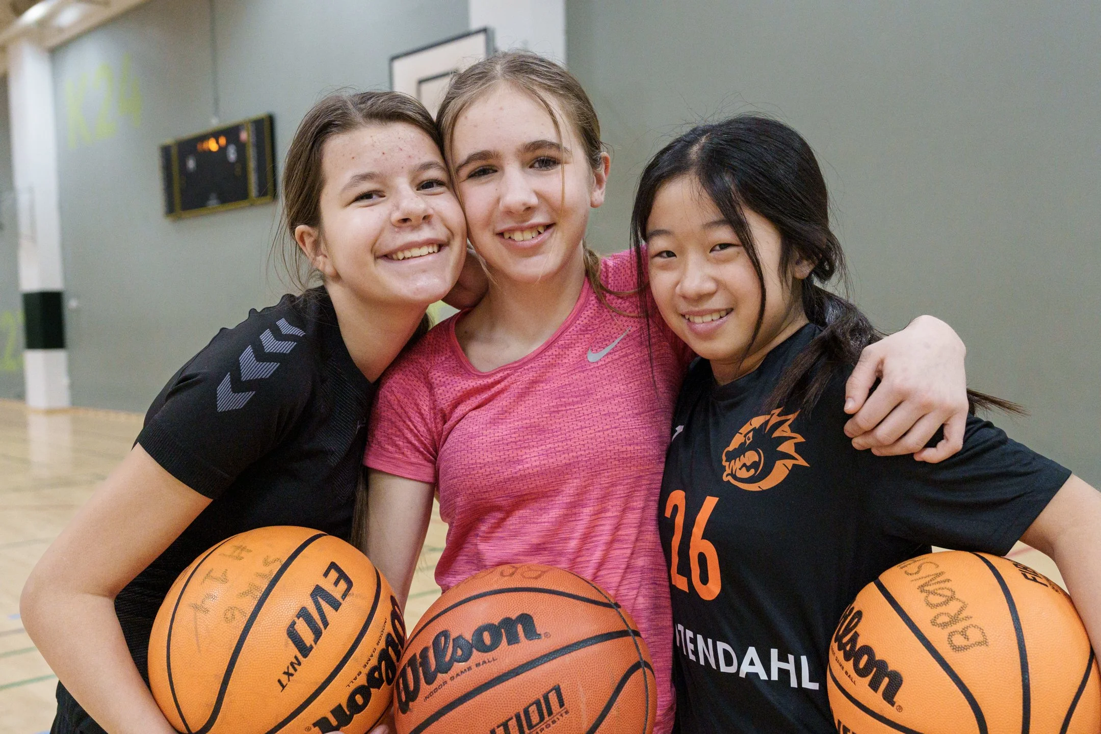 Antibulli - Basket - af Frederik Englund - Englund.Media-3.jpg