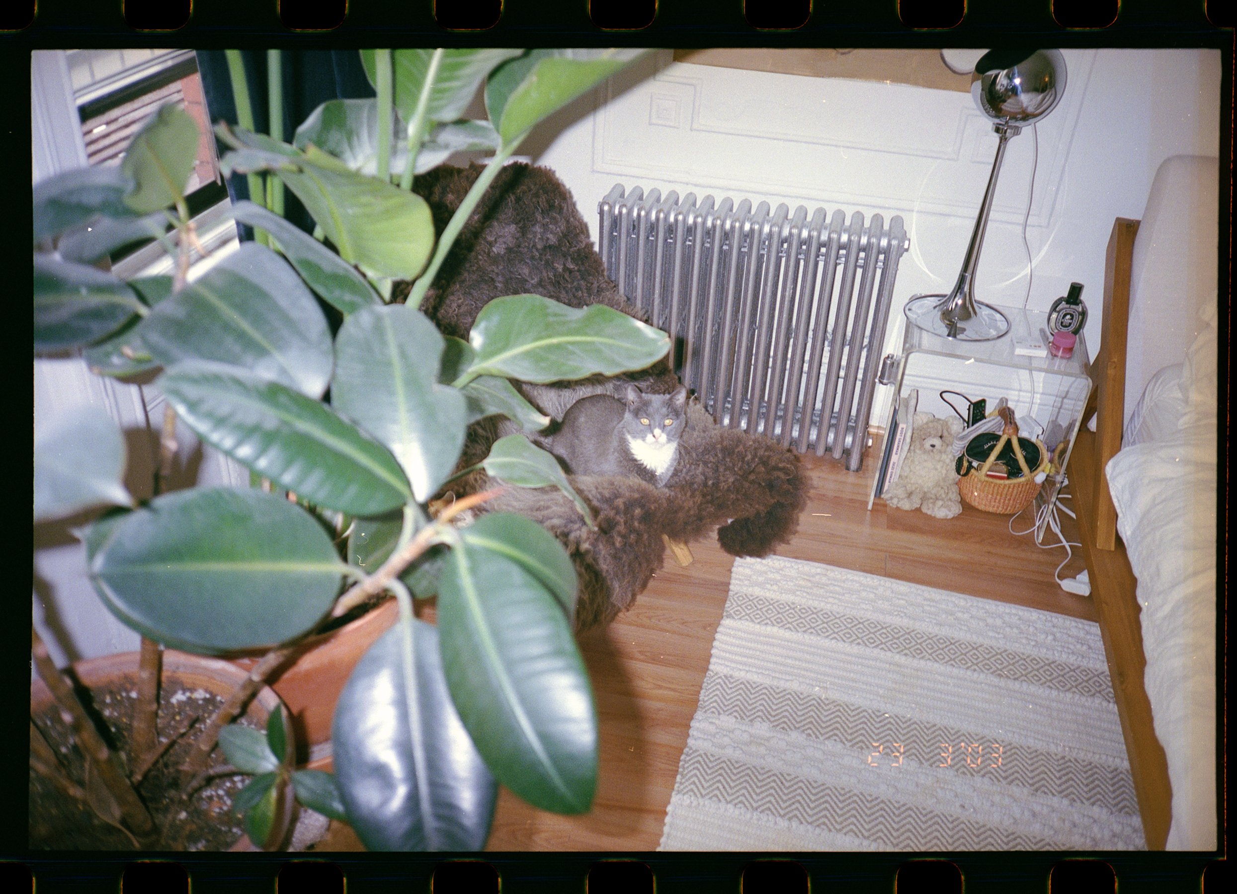 WEB2FTH_0018_ioRETOUCHED copy.jpg