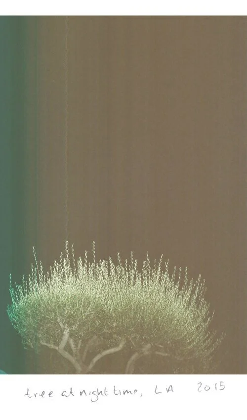 11x14000085730016frannyweb.jpg