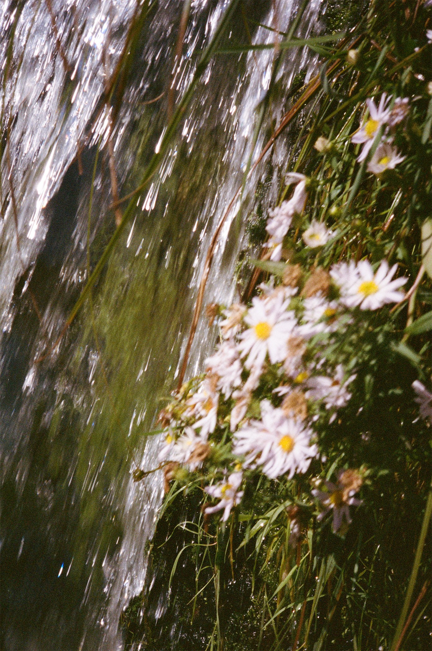 The Cherry On The Pie