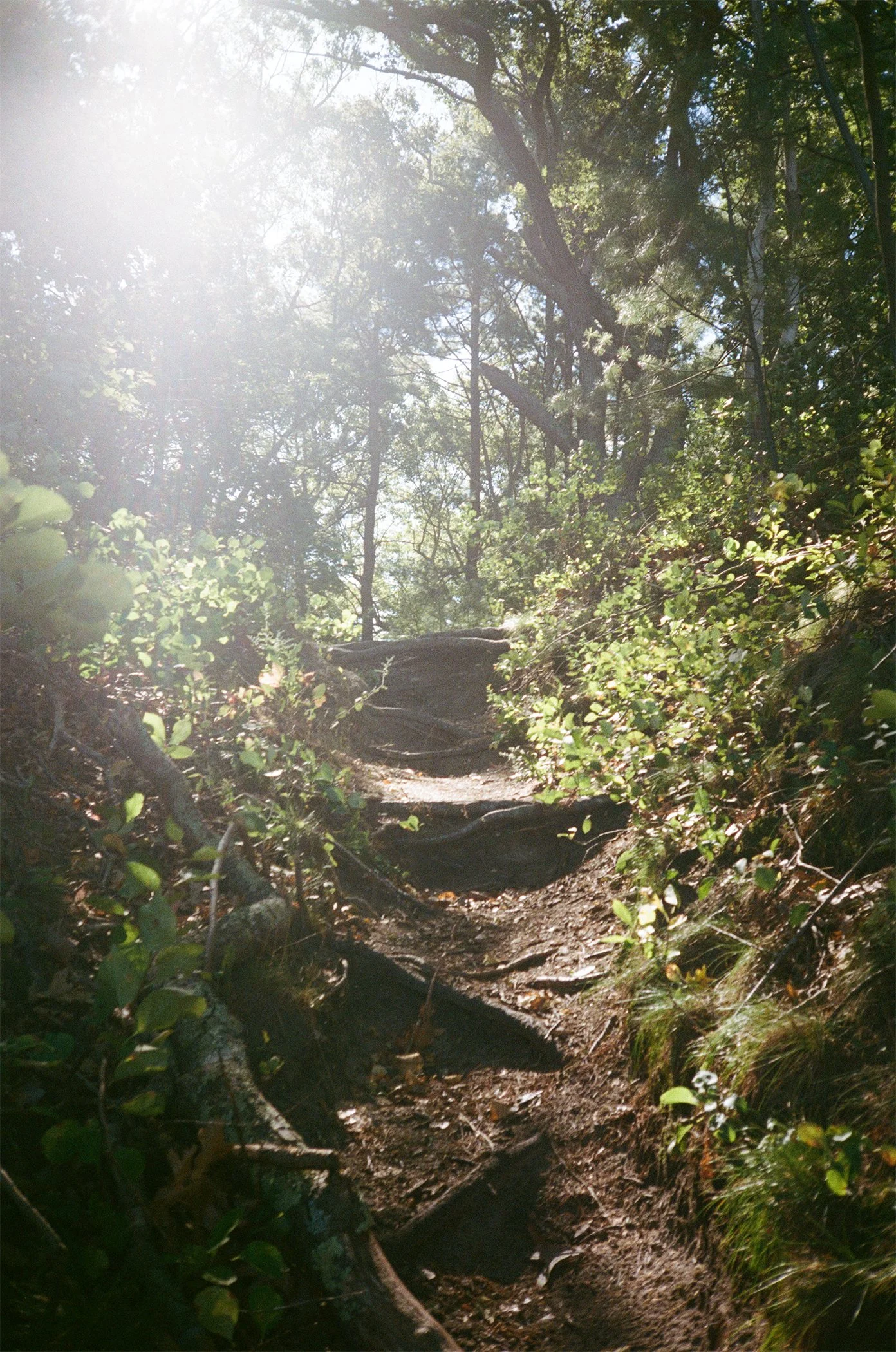 Returning to the crime scene