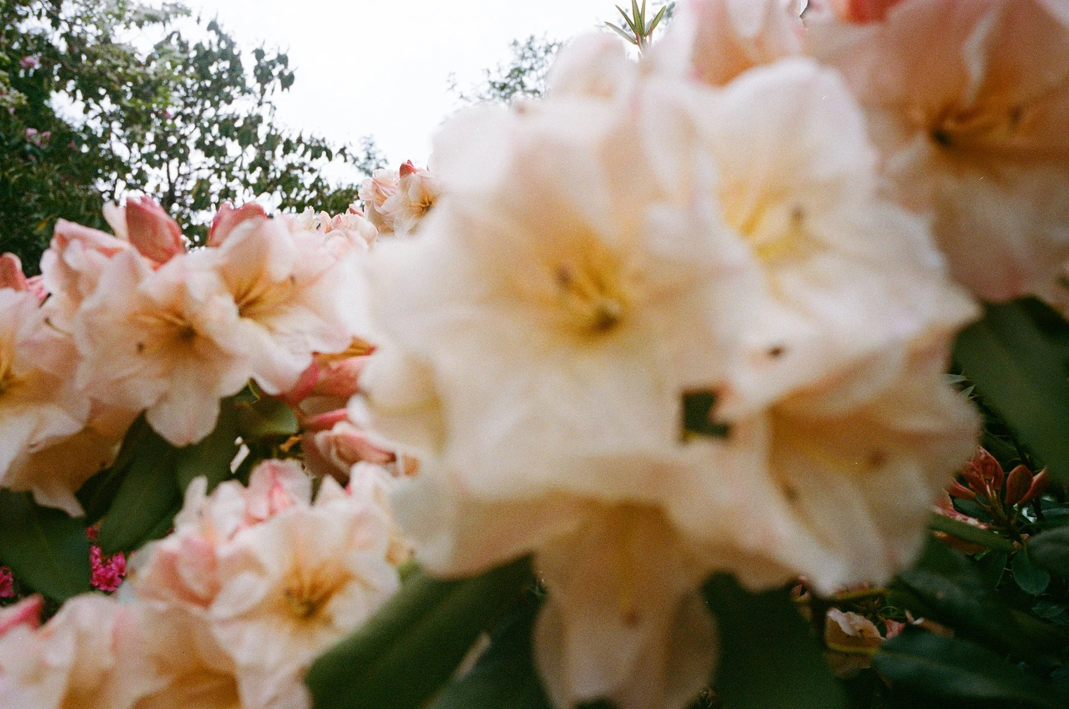 That’s ok this is how it is for everyone.