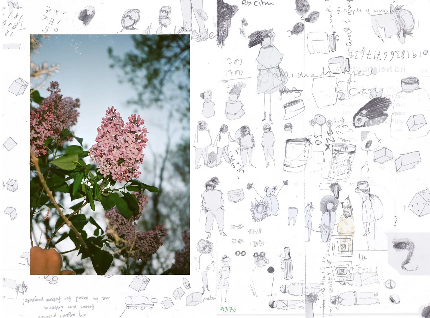09.FTHillustration.jpg