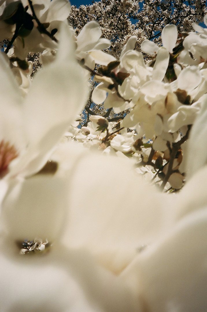 37.emailwebLR00590009 2.jpg