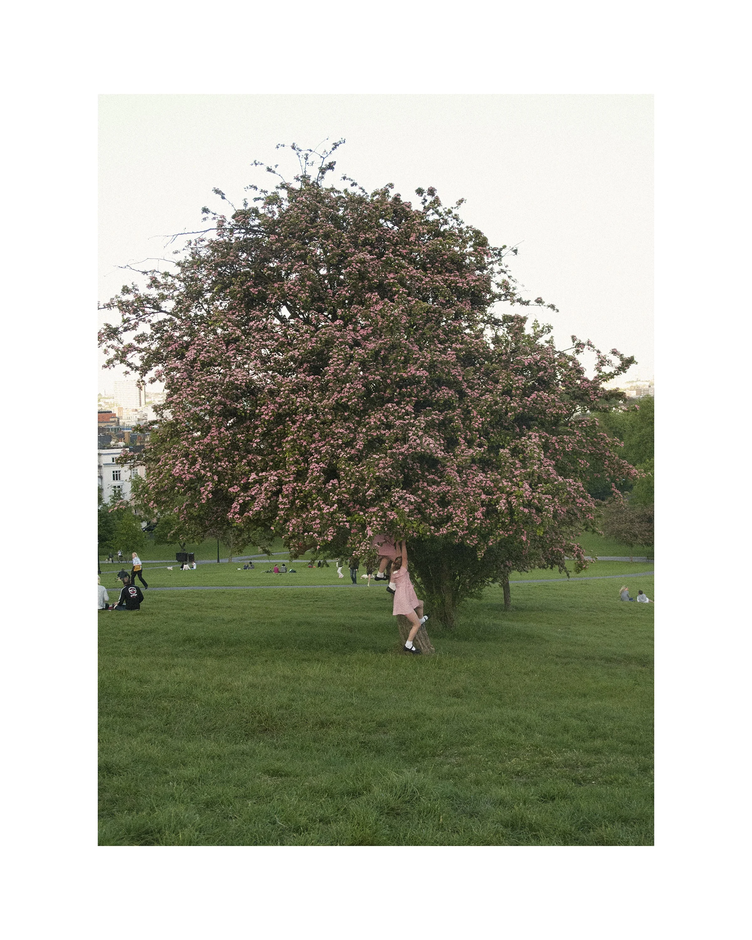 Girls climbing tree.