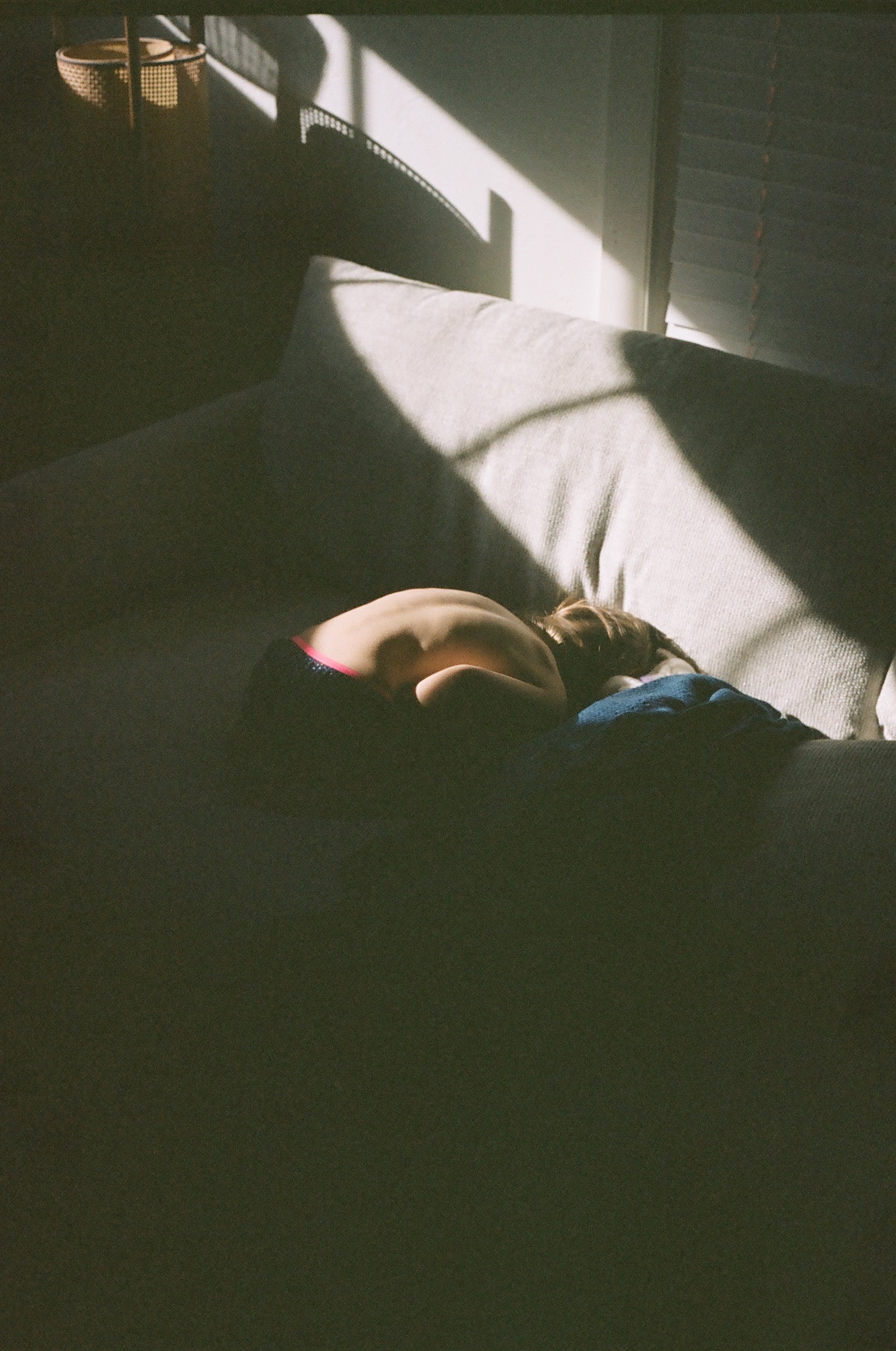 48430010.jpg